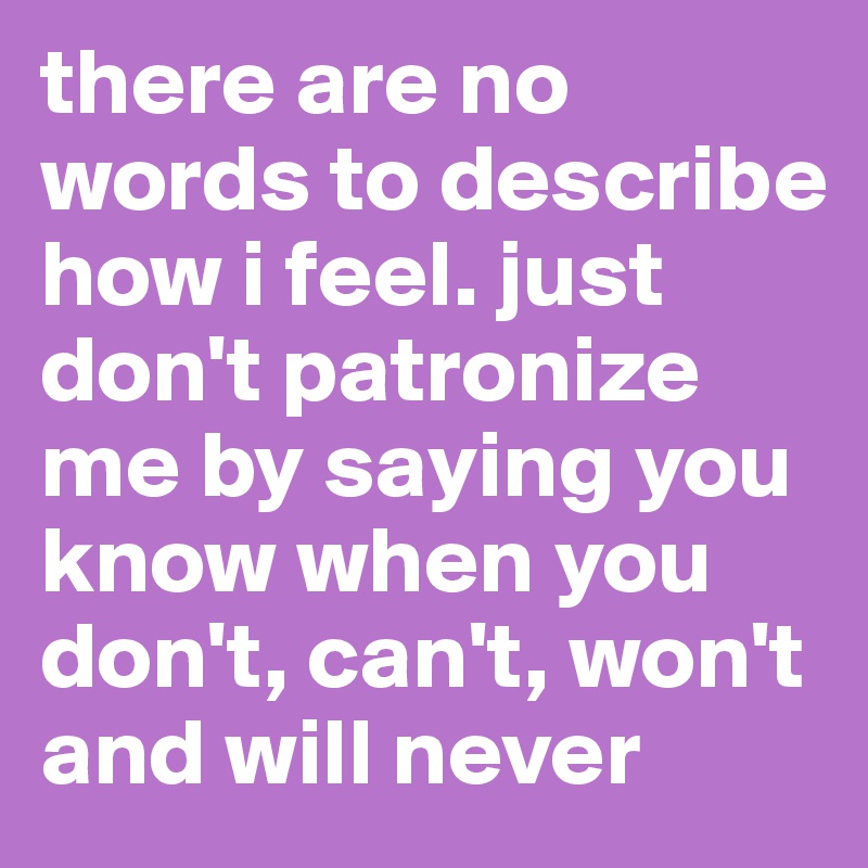 there are no words to describe how i feel. just don't patronize me by saying you know when you don't, can't, won't and will never
