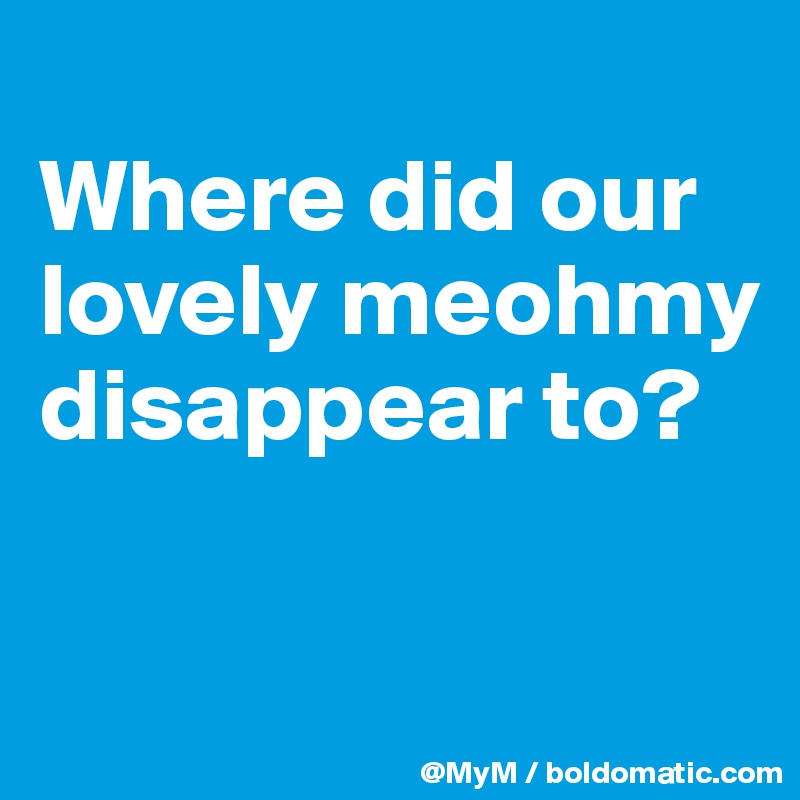 
Where did our lovely meohmy disappear to?

