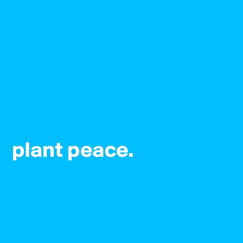 





plant peace.   


