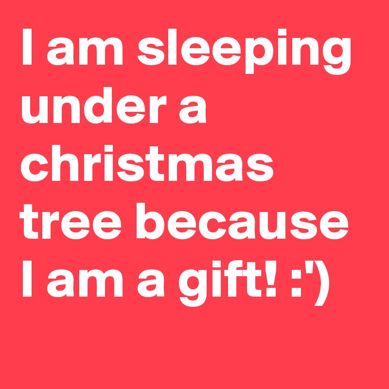 I am sleeping under a christmas tree because I am a gift! :')