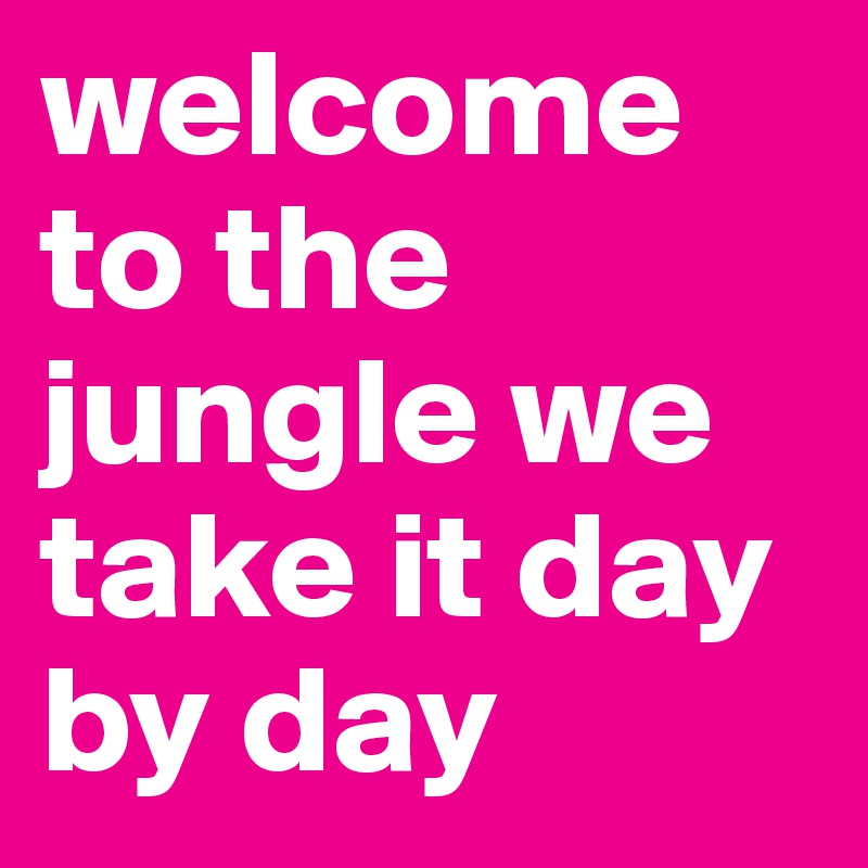 welcome to the jungle we take it day by day