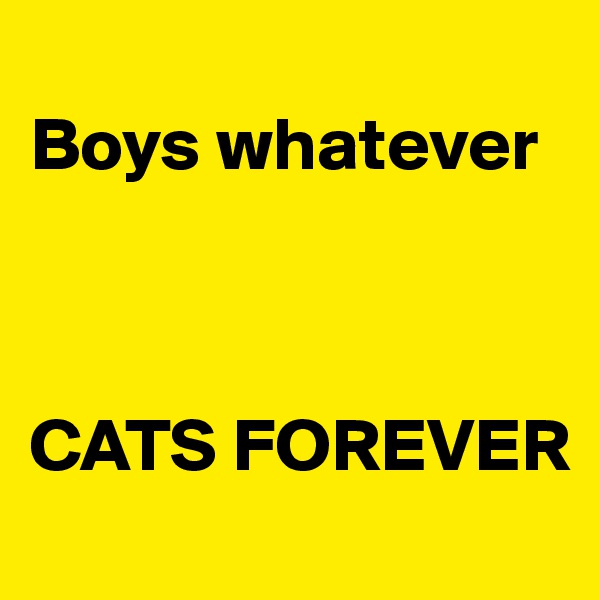 
Boys whatever



CATS FOREVER
