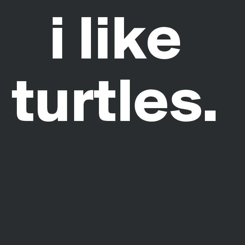    i like turtles.
