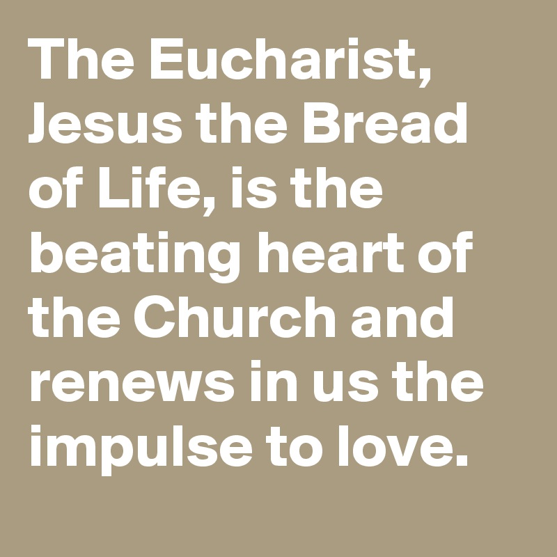 The Eucharist, Jesus the Bread of Life, is the beating heart of the Church and renews in us the impulse to love.