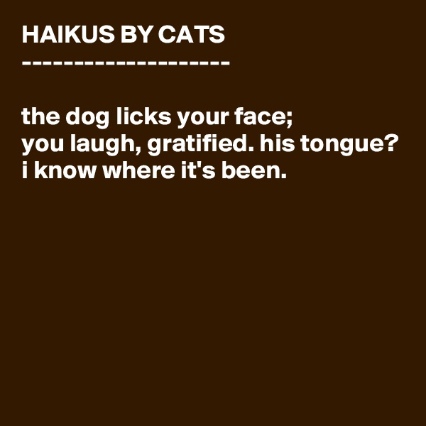 HAIKUS BY CATS
--------------------

the dog licks your face;
you laugh, gratified. his tongue?
i know where it's been.






