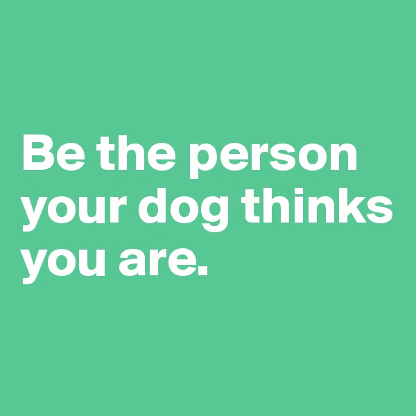 

Be the person your dog thinks you are.


