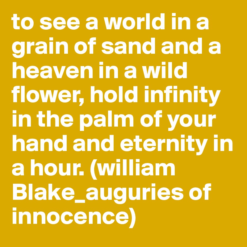 to see a world in a grain of sand and a heaven in a wild flower, hold infinity in the palm of your hand and eternity in a hour. (william Blake_auguries of innocence)