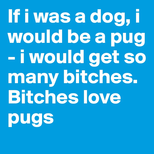 If i was a dog, i would be a pug - i would get so many bitches. Bitches love pugs 