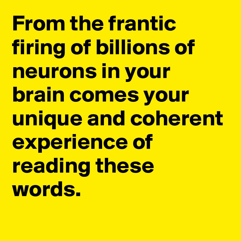 From the frantic firing of billions of neurons in your brain comes your unique and coherent experience of reading these words.