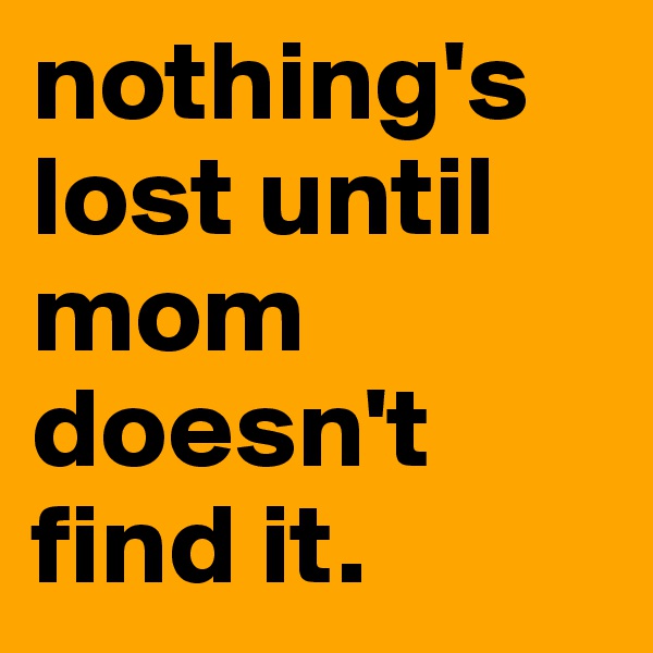 nothing's lost until mom doesn't find it.