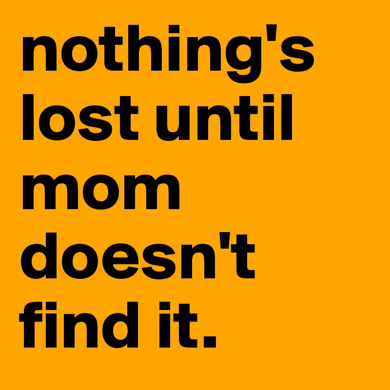 nothing's lost until mom doesn't find it.