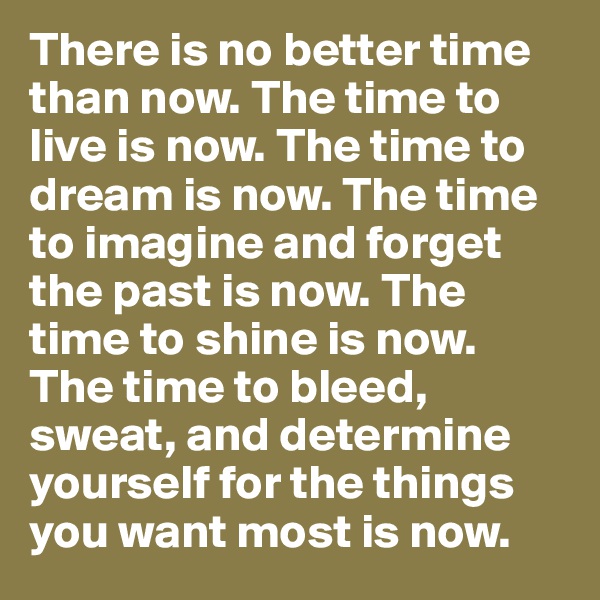 There is no better time than now. The time to live is now. The time to dream is now. The time to imagine and forget the past is now. The time to shine is now. The time to bleed, sweat, and determine yourself for the things you want most is now.