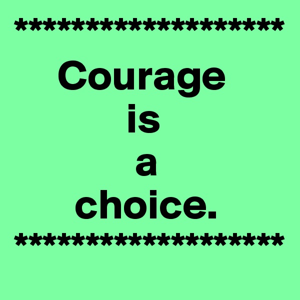 *******************
     Courage
             is 
              a
       choice.
*******************