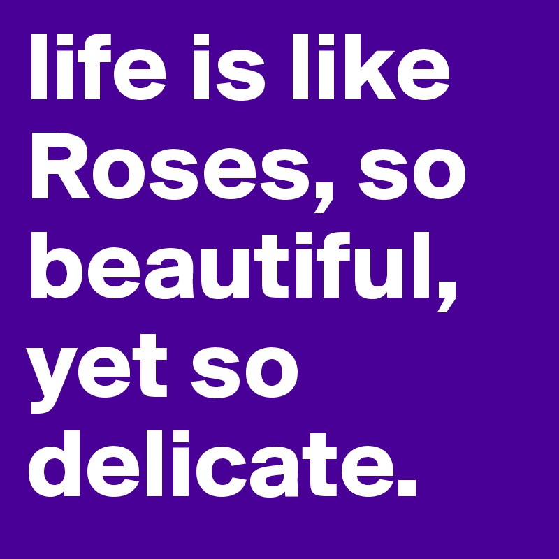 life is like Roses, so beautiful, yet so delicate.