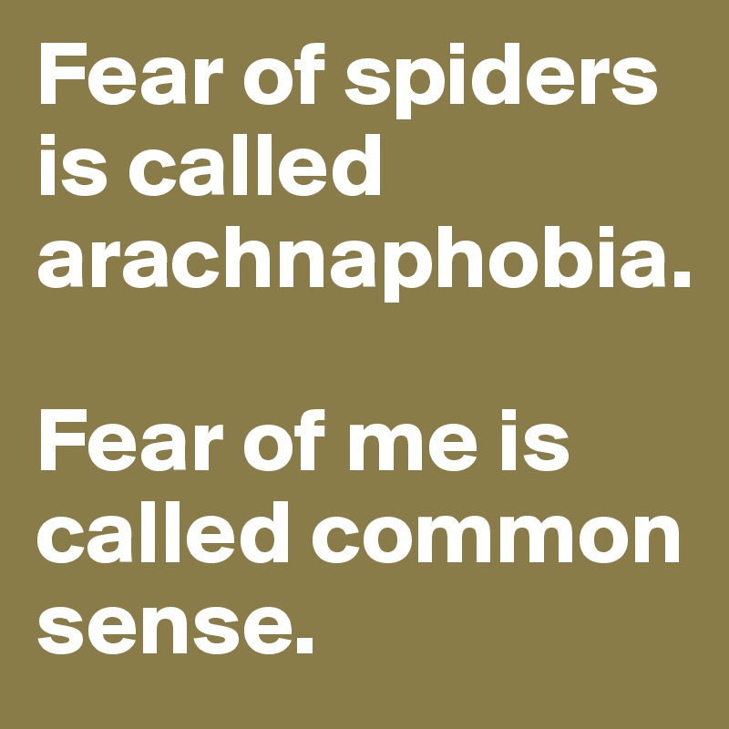 Fear of spiders is called arachnaphobia.

Fear of me is called common sense.