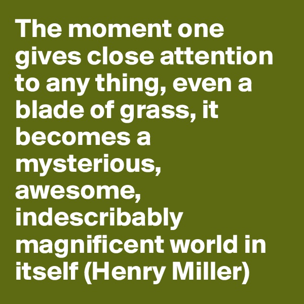 The moment one gives close attention to any thing, even a blade of grass, it becomes a mysterious, awesome, indescribably magnificent world in itself (Henry Miller)