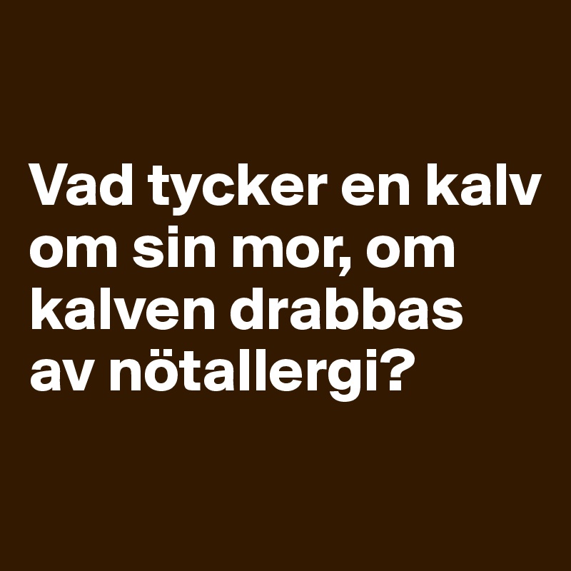 

Vad tycker en kalv om sin mor, om kalven drabbas av nötallergi?

