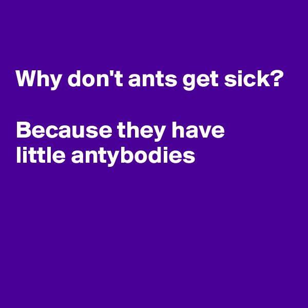 

Why don't ants get sick?

Because they have 
little antybodies



