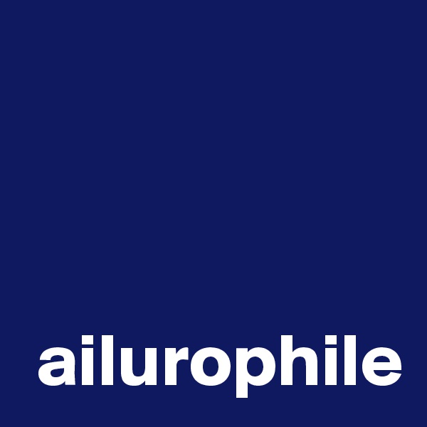 



 ailurophile