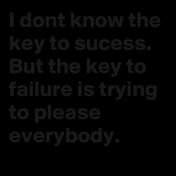 I dont know the key to sucess. But the key to failure is trying to please everybody.