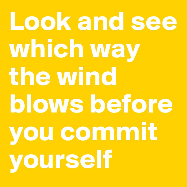 Look and see which way the wind blows before you commit yourself