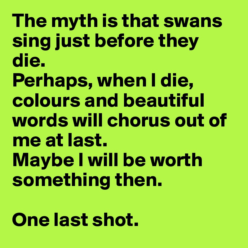 The myth is that swans sing just before they die. 
Perhaps, when I die, colours and beautiful words will chorus out of me at last.
Maybe I will be worth 
something then. 

One last shot.
