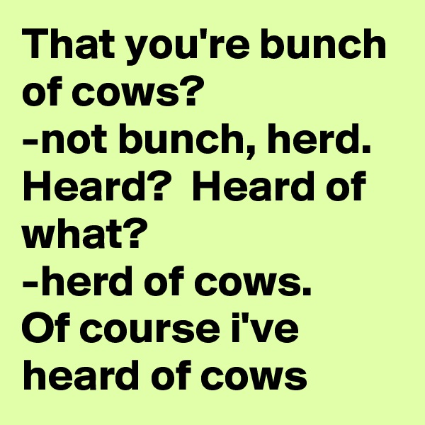That you're bunch of cows?
-not bunch, herd.
Heard?  Heard of what?
-herd of cows.
Of course i've heard of cows