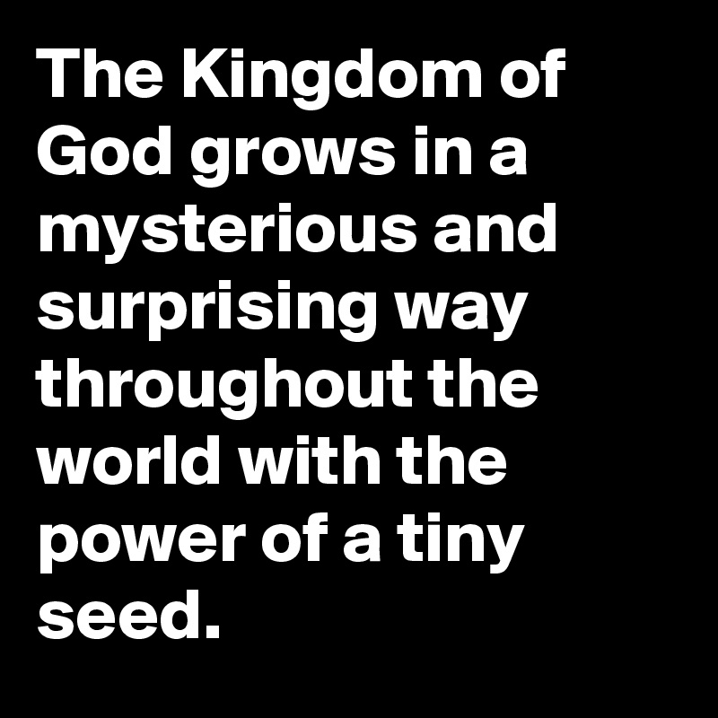 The Kingdom of God grows in a mysterious and surprising way throughout the world with the power of a tiny seed.