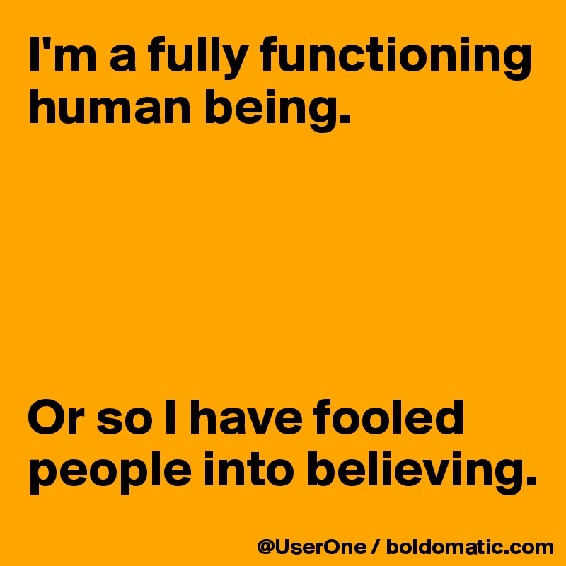 I'm a fully functioning human being.





Or so I have fooled people into believing.
