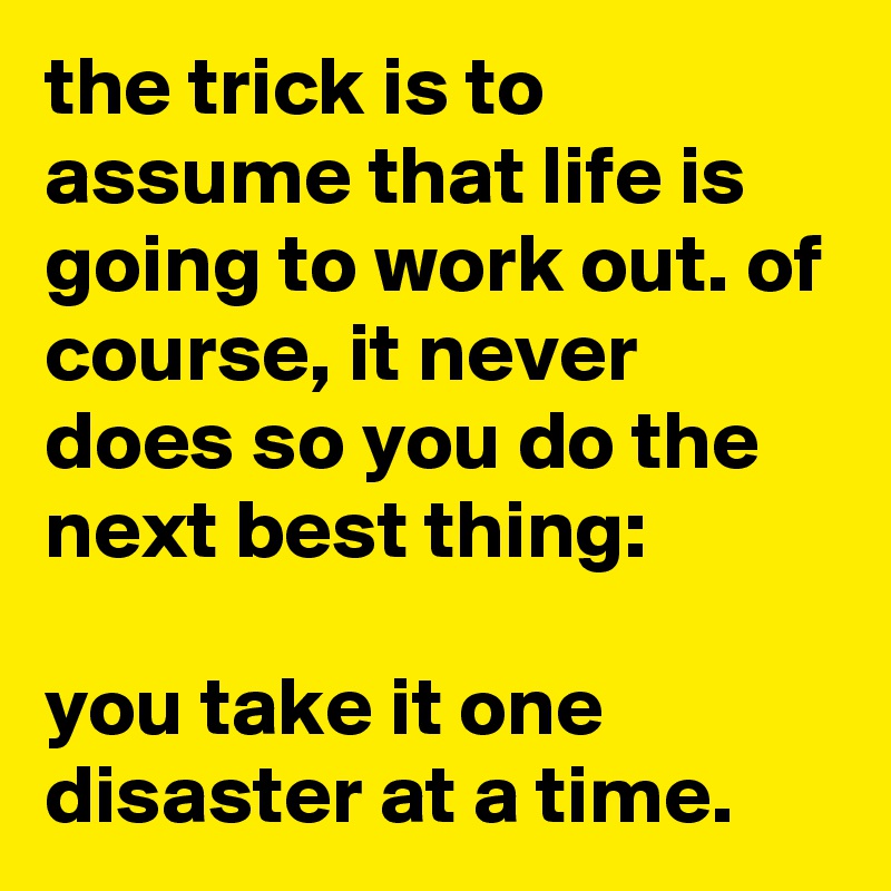 the trick is to assume that life is going to work out. of course, it never does so you do the next best thing:

you take it one disaster at a time.