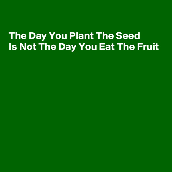 

The Day You Plant The Seed
Is Not The Day You Eat The Fruit









