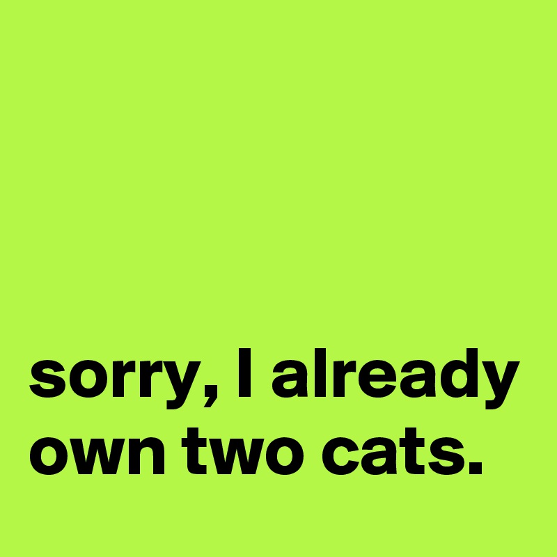 



sorry, I already own two cats. 