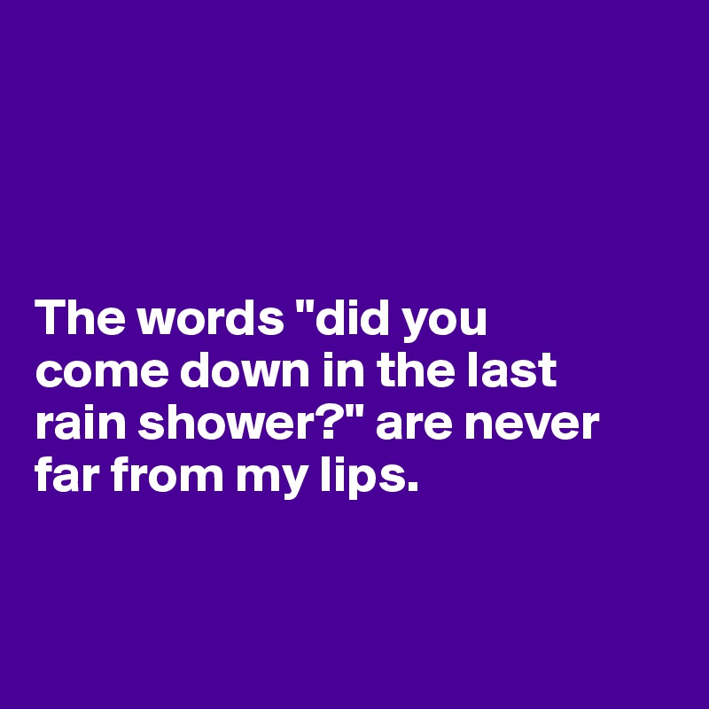 




The words "did you 
come down in the last 
rain shower?" are never far from my lips.
 

