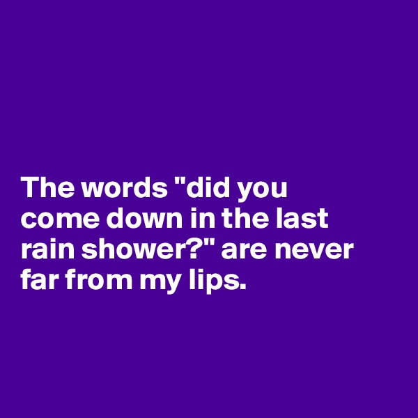 




The words "did you 
come down in the last 
rain shower?" are never far from my lips.
 

