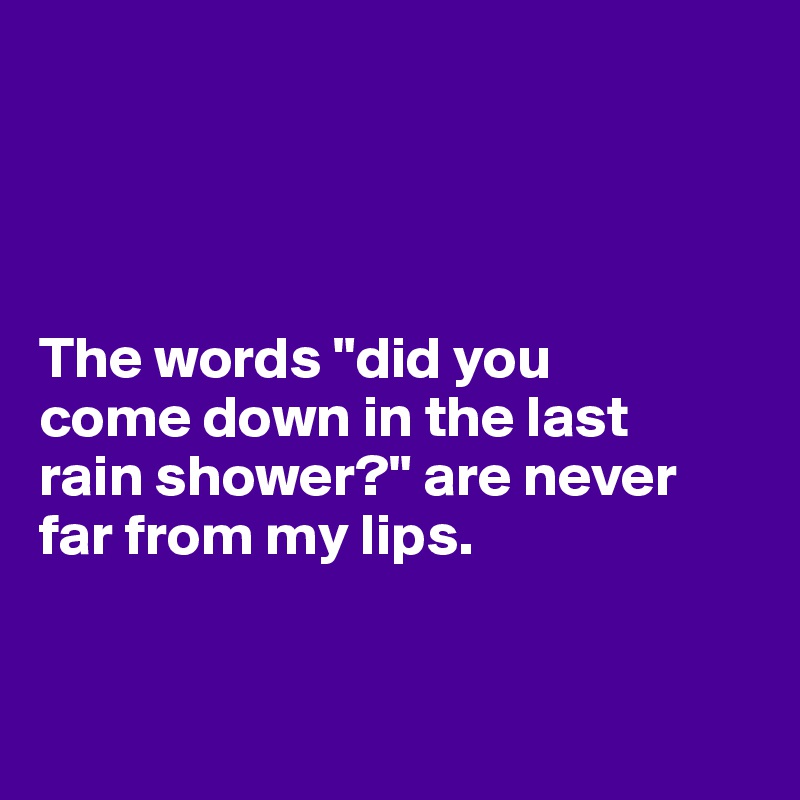 




The words "did you 
come down in the last 
rain shower?" are never far from my lips.
 

