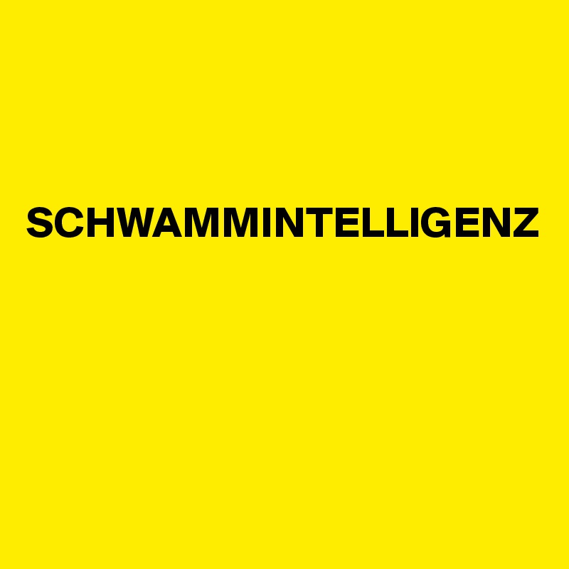 



SCHWAMMINTELLIGENZ 





