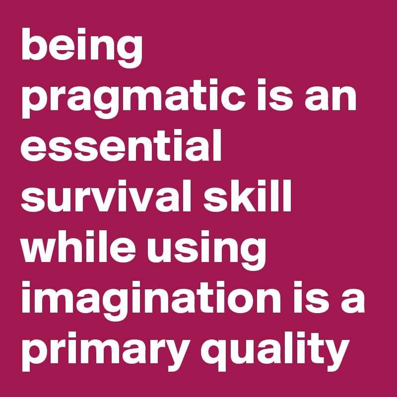 being pragmatic is an essential survival skill while using imagination is a primary quality