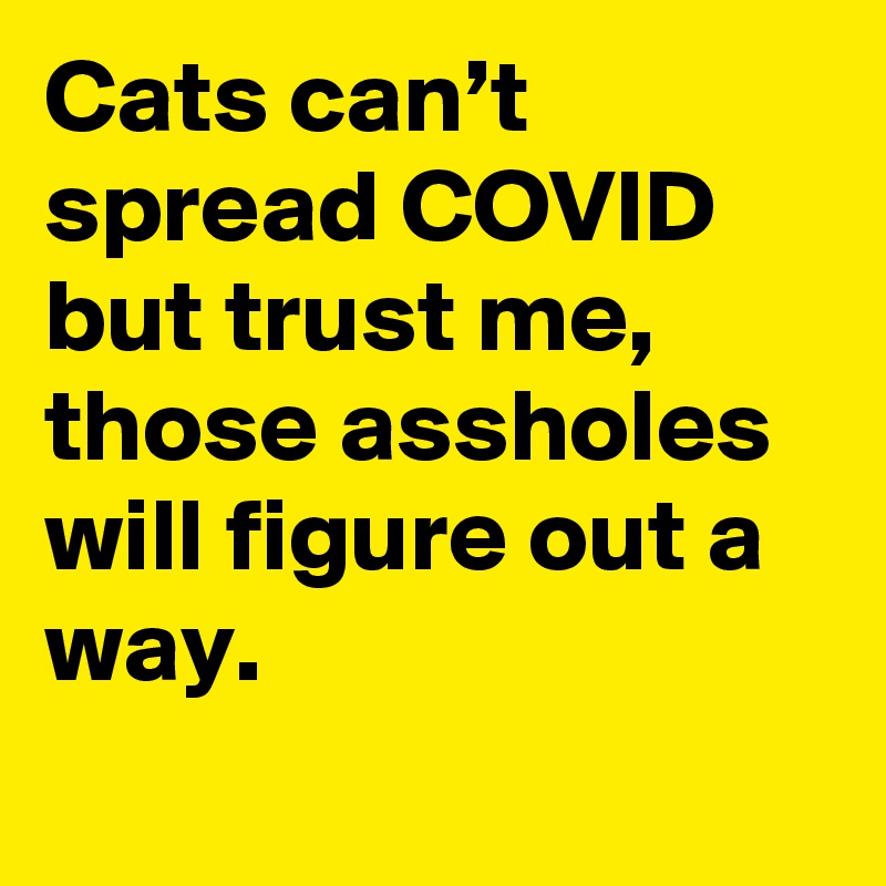 Cats can’t spread COVID but trust me, those assholes will figure out a way.