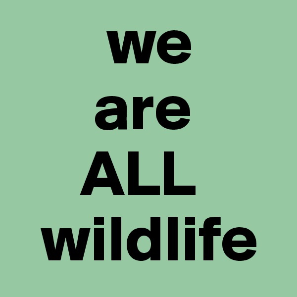       we
      are   
     ALL     
  wildlife 