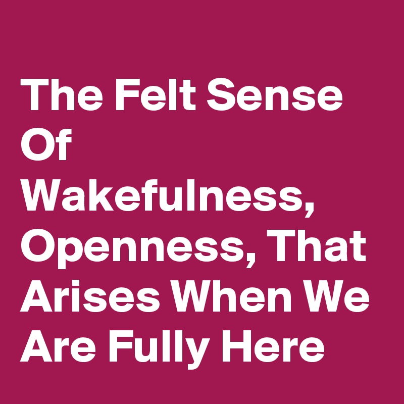 
The Felt Sense Of Wakefulness,  Openness, That Arises When We Are Fully Here 
