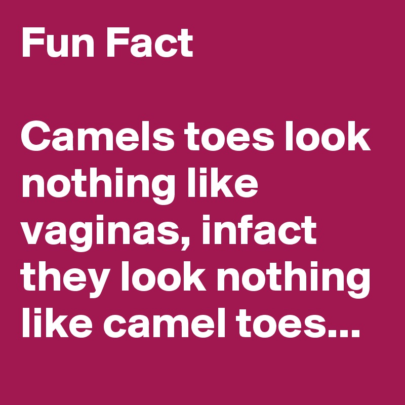 Fun Fact

Camels toes look nothing like vaginas, infact they look nothing like camel toes...