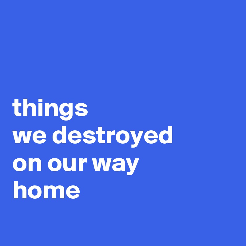 


things 
we destroyed 
on our way 
home
