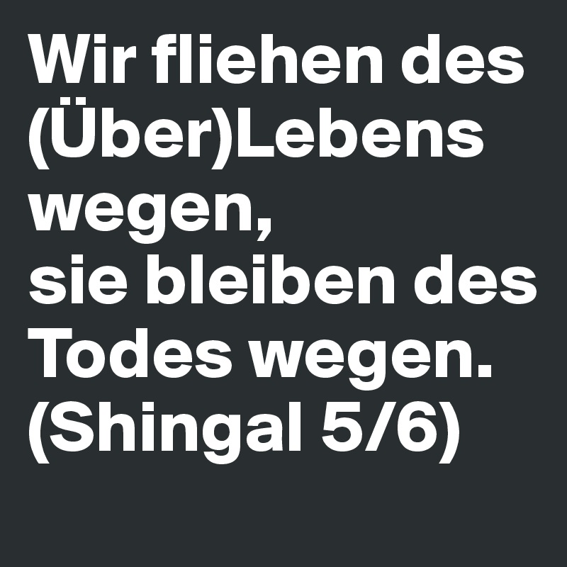 Wir fliehen des (Über)Lebens wegen, 
sie bleiben des Todes wegen. (Shingal 5/6)