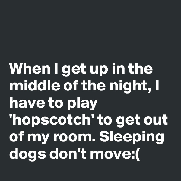 


When I get up in the middle of the night, I have to play 'hopscotch' to get out of my room. Sleeping dogs don't move:(