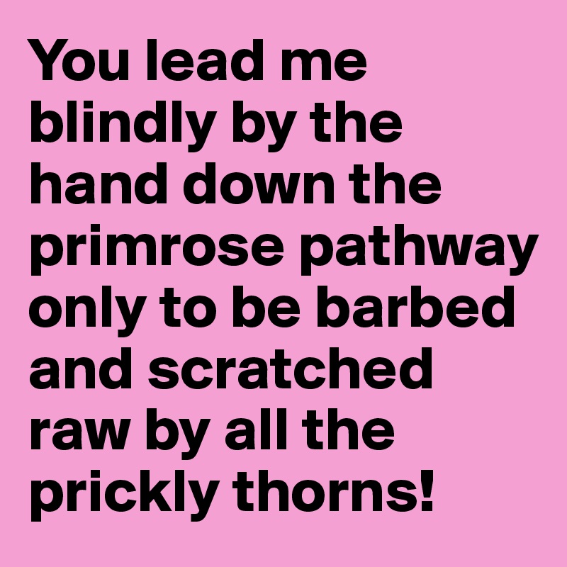 You lead me blindly by the hand down the primrose pathway only to be barbed and scratched raw by all the prickly thorns!