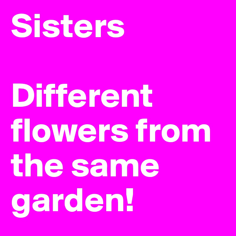 Sisters

Different flowers from the same garden!