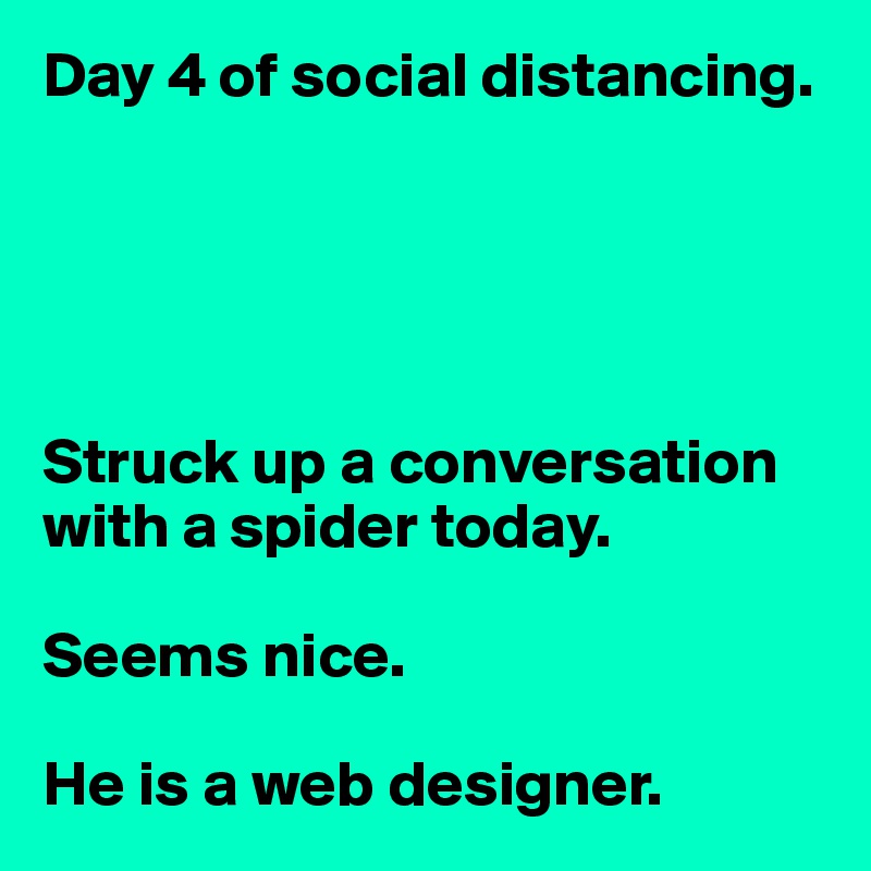 Day 4 of social distancing.





Struck up a conversation with a spider today.

Seems nice.

He is a web designer.