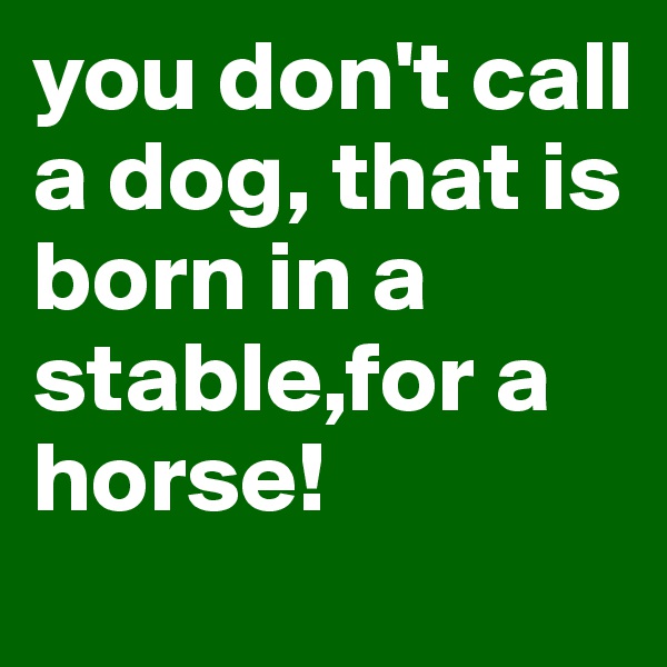 you don't call a dog, that is born in a stable,for a horse!