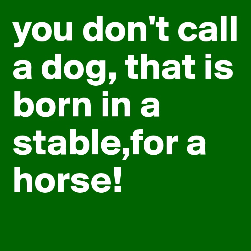 you don't call a dog, that is born in a stable,for a horse!