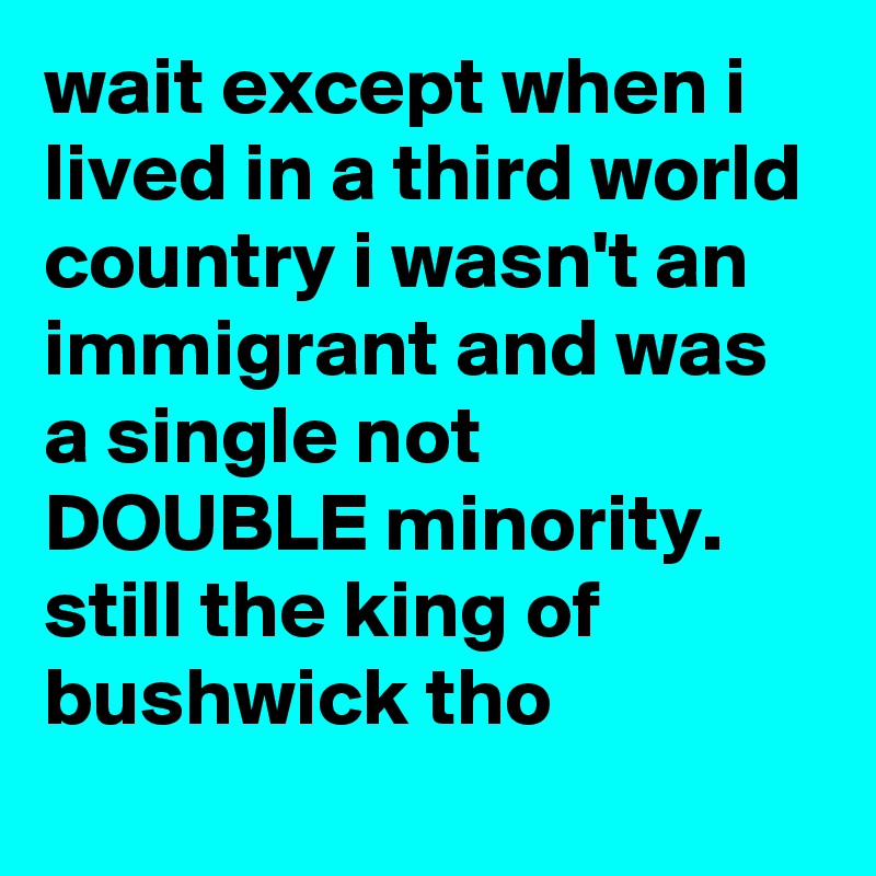 wait except when i lived in a third world country i wasn't an immigrant and was a single not DOUBLE minority. still the king of bushwick tho